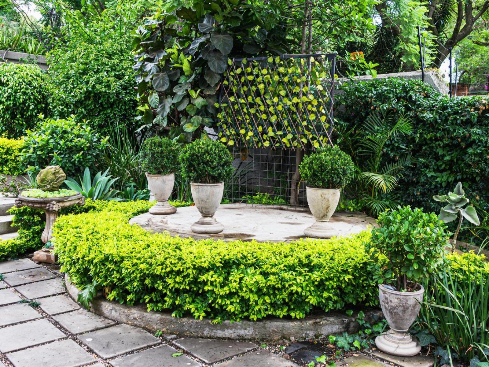 Muckleneuk Manor Otel Pretoria-Noord Dış mekan fotoğraf